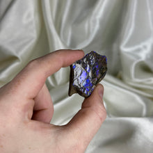 Load image into Gallery viewer, Indigo-Purple Gem Ammolite Slab