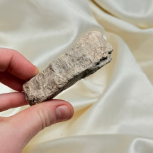 Load image into Gallery viewer, Indonesian Agate Pair B