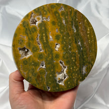 Load image into Gallery viewer, Funky Sea Jasper Coaster