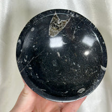 Load image into Gallery viewer, Orthoceras Fossil Bowl F