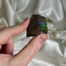 Load image into Gallery viewer, Green Blue and Purple Gem Ammolite Slab