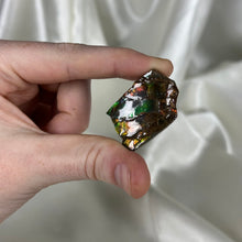 Load image into Gallery viewer, Gem Ammolite Specimen B