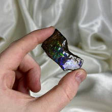 Load image into Gallery viewer, Rainbow Spectrum Gem Ammolite Slab