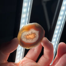 Load image into Gallery viewer, Swazi Rose Agate M