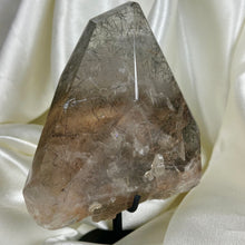 Load image into Gallery viewer, XXL Tourmaline and Rutile in Quartz with Lodolite on Stand