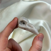 Load image into Gallery viewer, Plume Agate Raven Skull Carving