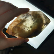 Load image into Gallery viewer, XL “Outer Space” Amphibole in Quartz Freeform on Stand