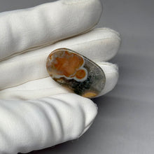 Load image into Gallery viewer, Orbicular Sea Jasper Cabochon 39.88ct