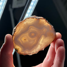 Load image into Gallery viewer, Lacy Moroccan Agate Pair with Parallax effect
