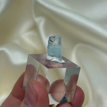 Load image into Gallery viewer, Aquamarine Specimen with Black Tourmaline on Stand F