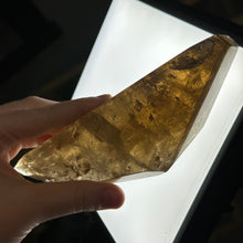 Load image into Gallery viewer, XL 1lb Natural Cognac Citrine Freeform with Rainbows on Stand