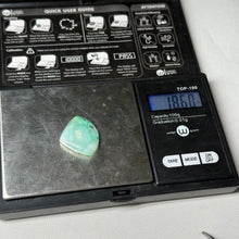 Load image into Gallery viewer, Chrysoprase Cabochon 18.6ct