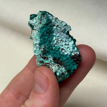 Load image into Gallery viewer, Dioptase Cluster B