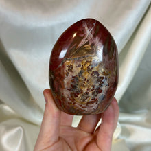 Load image into Gallery viewer, Fiery Petrified Wood Freeform (1lb)