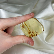 Load image into Gallery viewer, Copal Amber Specimen with Termites B
