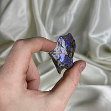 Load image into Gallery viewer, Indigo-Purple Gem Ammolite Slab