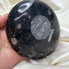 Load image into Gallery viewer, Orthoceras Fossil Bowl