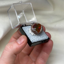 Load image into Gallery viewer, Chocolate Opal B