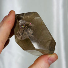 Load image into Gallery viewer, Rutilated Smoky Quartz Freeform with Garden Quartz and Phantoms
