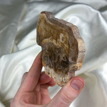 Load image into Gallery viewer, Petrified Wood Slab