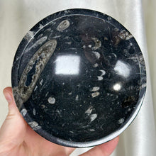 Load image into Gallery viewer, Orthoceras Fossil Bowl D