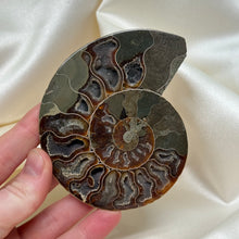 Load image into Gallery viewer, Naturally Iridescent Ammonite Matching Pair with Crystallized Inside A