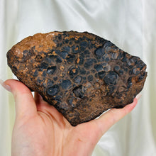 Load image into Gallery viewer, XL Botryoidal Hematite Freeform