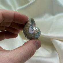 Load image into Gallery viewer, Drilled Pearly Shell A
