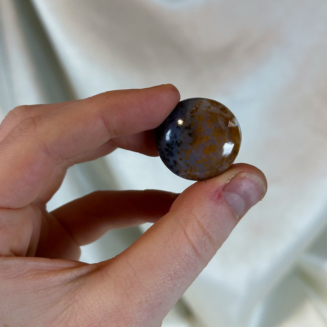 Bi-Color Dendritic Opal Pocket Palm B