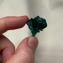 Load image into Gallery viewer, Dioptase Cluster F
