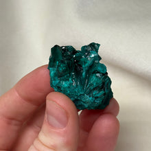 Load image into Gallery viewer, Dioptase Cluster A
