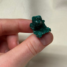 Load image into Gallery viewer, Dioptase Cluster F
