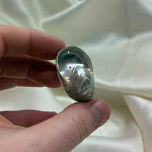 Load image into Gallery viewer, Drilled Pearly Shell B
