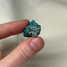 Load image into Gallery viewer, Dioptase Cluster H
