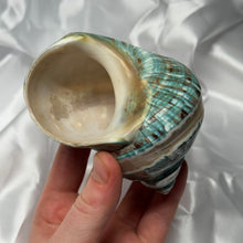 Load image into Gallery viewer, Green/Blue with Pearlized Stripes Turbo Shell A
