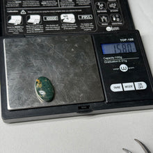Load image into Gallery viewer, Sea Jasper Cabochon 15.8ct

