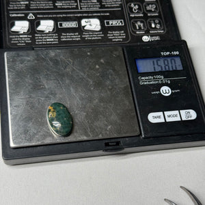 Sea Jasper Cabochon 15.8ct
