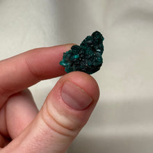 Load image into Gallery viewer, Dioptase Cluster I
