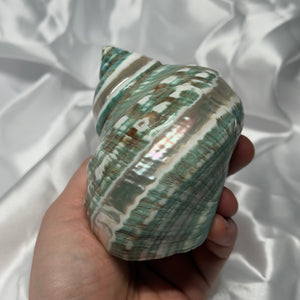 Green/Blue with Pearlized Stripes Turbo Shell B