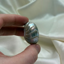 Load image into Gallery viewer, Drilled Pearly Shell B
