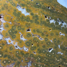Load image into Gallery viewer, XL Funky Sea Jasper Druzy Slab
