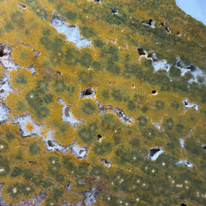 XL Funky Sea Jasper Druzy Slab