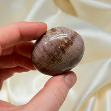 Load image into Gallery viewer, Petrified Wood Palmstone C
