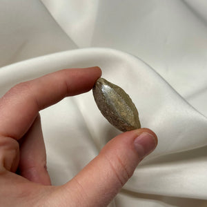 Ancient Roman Glass Bottle B