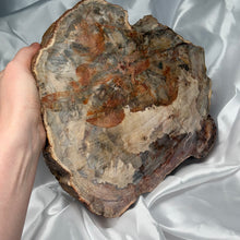 Load image into Gallery viewer, XXL Petrified Wood Bowl/Basin
