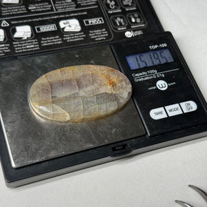 XL Labradorite Cabochon 151.95ct