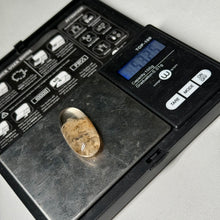 Load image into Gallery viewer, AA Garden Quartz Cabochon (53.25ct)
