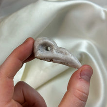 Load image into Gallery viewer, Plume Agate Raven Skull Carving
