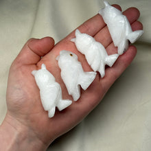 Load image into Gallery viewer, Quartz Owl Carvings Pt1 (Choose Your Own!)
