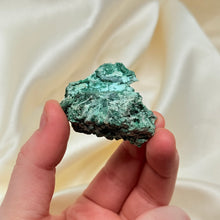 Load image into Gallery viewer, Druzy Chrysocolla over Malachite Specimen
